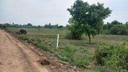  DTCP APPROVED PLOTS FOR SALE AT PALAYASEEVARAM IN WALAJABAD