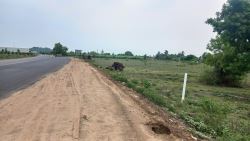  DTCP APPROVED PLOTS FOR SALE AT PALAYASEEVARAM IN WALAJABAD