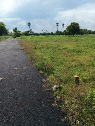 DTCP AND RERA APPROVED PLOTS FOR SALE AT VEPPAMBAATTU