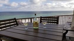 Vacation Rentals in Gulf Shores Area