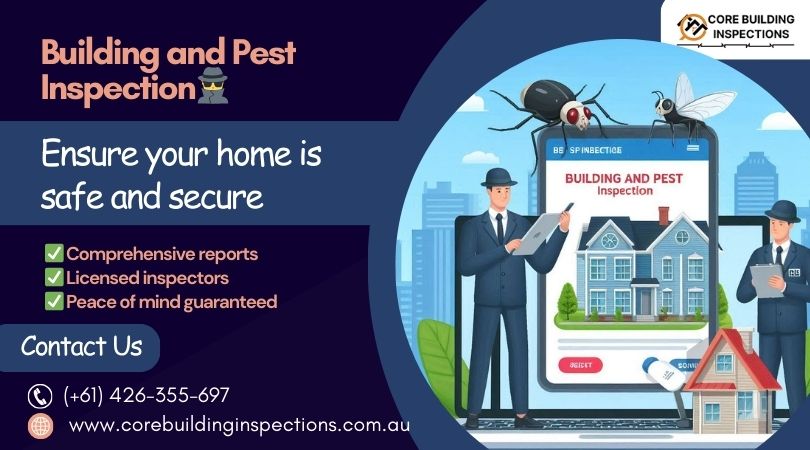 Access Thorough Building & Pest Inspections for a Safe Home