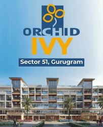 Orchid Ivy Sector 51 Gurgaon: Explore Premium Properties| 99