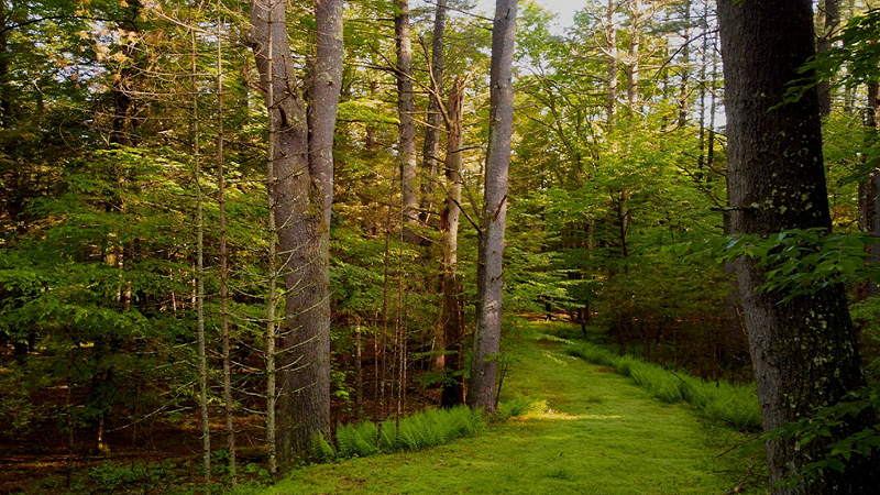 Farmhouses For Sale In New York Countryside