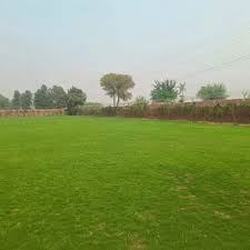 Agriculture Land for sale  In  Gurgaon