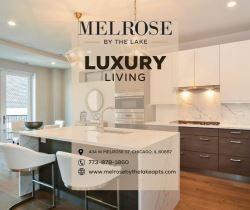 Luxury Boutique Apartments for Rent: Elite Living at Melrose