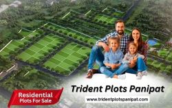 Trident Plots Panipat – A Premium Investment Opportunity