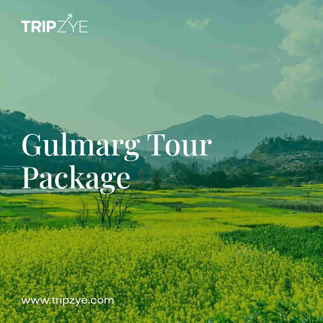 gulmarg kashmir tour package