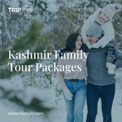 kashmir family tour packages