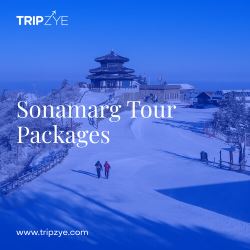 sonmarg tour packages