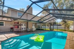 VACATION HOME RENTAL IN TAMPA BAY FL