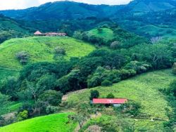 Buy Farmland on Costa Rica's Island